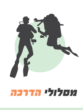 מסלולי הדרכה